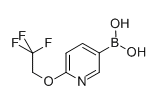 Boronic acid, [6-(2,2,2-trifluoroethoxy)-3-pyridinyl]- (9CI)